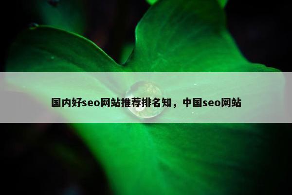 国内好seo网站推荐排名知，中国seo网站