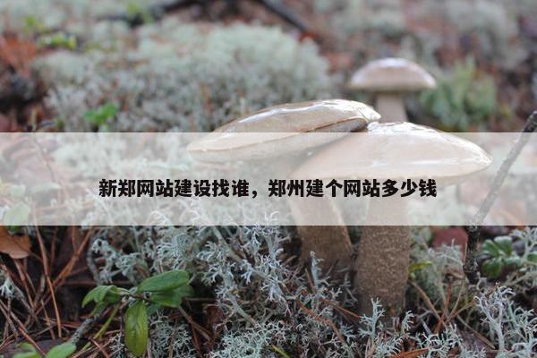 新郑网站建设找谁，郑州建个网站多少钱
