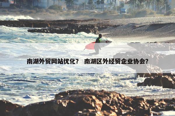 南湖外贸网站优化？ 南湖区外经贸企业协会？