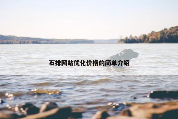 石排网站优化价格的简单介绍