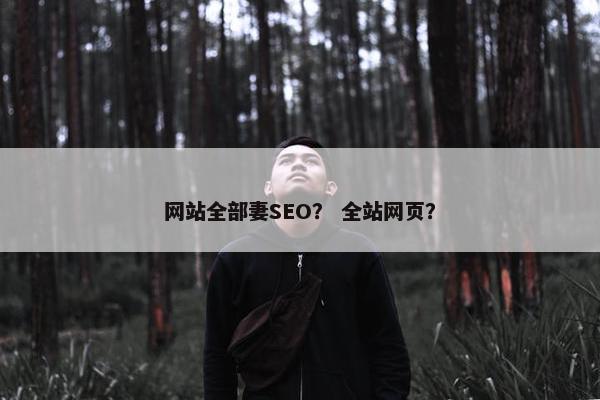 网站全部妻SEO？ 全站网页？