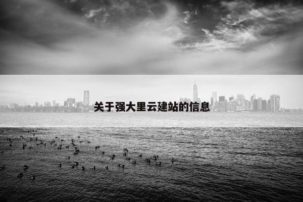 关于强大里云建站的信息