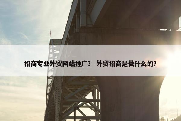 招商专业外贸网站推广？ 外贸招商是做什么的？