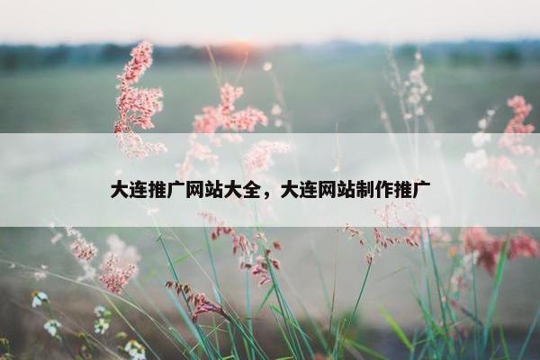 大连推广网站大全，大连网站制作推广