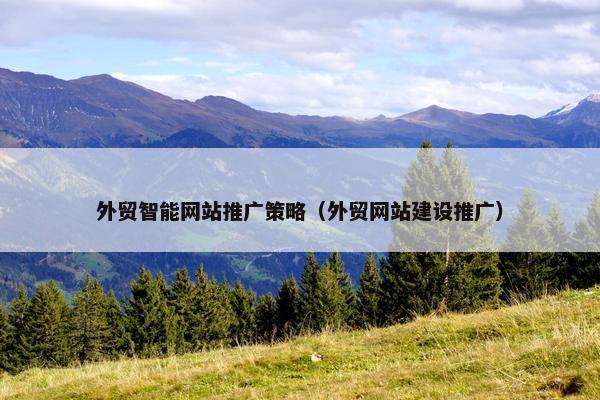 外贸智能网站推广策略（外贸网站建设推广）