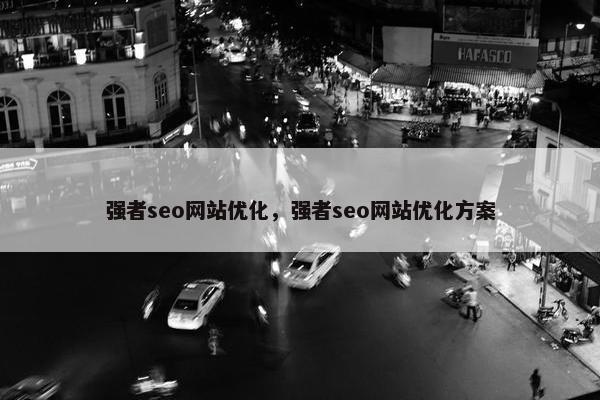 强者seo网站优化，强者seo网站优化方案