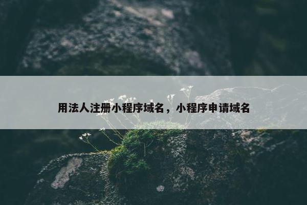 用法人注册小程序域名，小程序申请域名