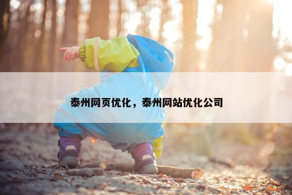 泰州网页优化，泰州网站优化公司