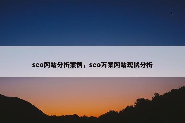 seo网站分析案例，seo方案网站现状分析
