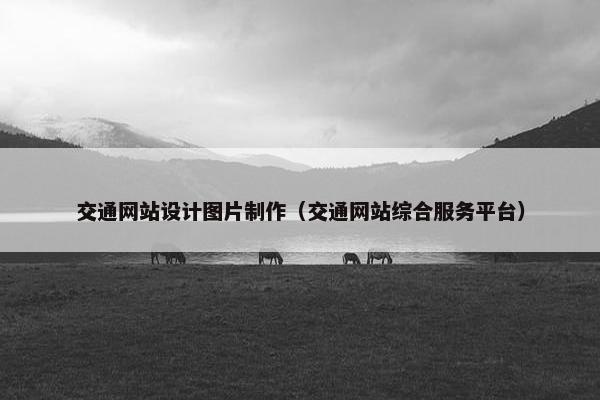 交通网站设计图片制作（交通网站综合服务平台）