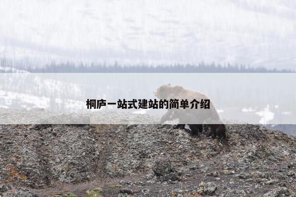 桐庐一站式建站的简单介绍