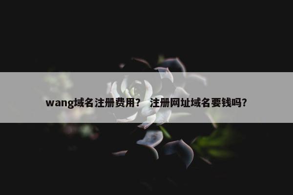 wang域名注册费用？ 注册网址域名要钱吗？