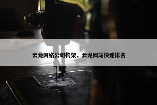 云龙网络公司构架，云龙网站快速排名