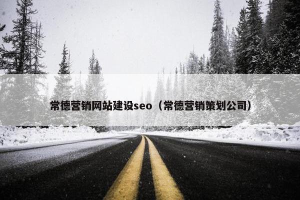 常德营销网站建设seo（常德营销策划公司）