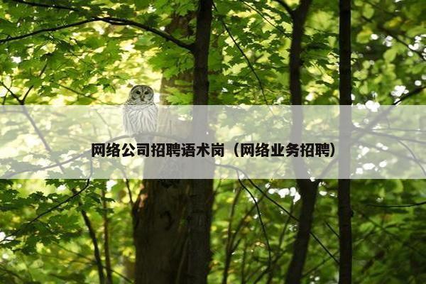 网络公司招聘语术岗（网络业务招聘）