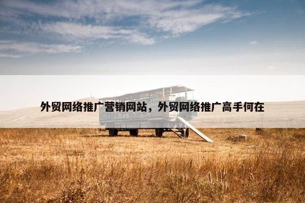 外贸网络推广营销网站，外贸网络推广高手何在