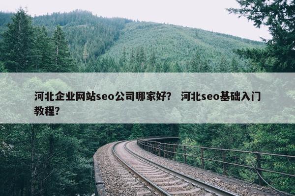 河北企业网站seo公司哪家好？ 河北seo基础入门教程？