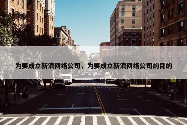 为要成立新浪网络公司，为要成立新浪网络公司的目的