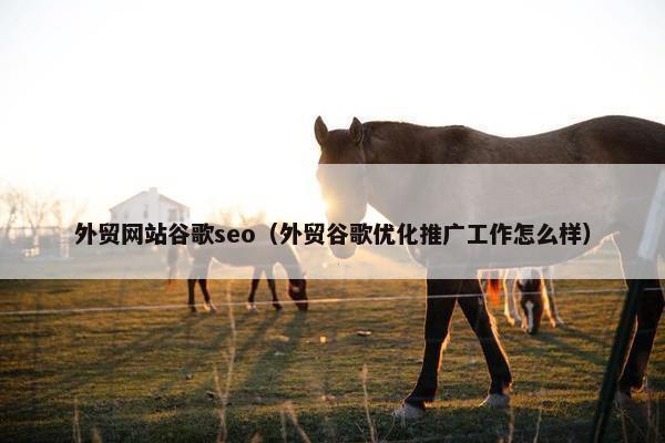 外贸网站谷歌seo（外贸谷歌优化推广工作怎么样）