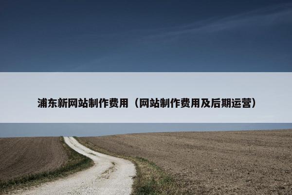 浦东新网站制作费用（网站制作费用及后期运营）