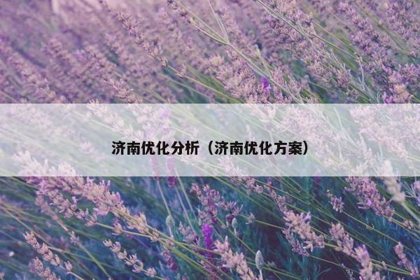 济南优化分析（济南优化方案）