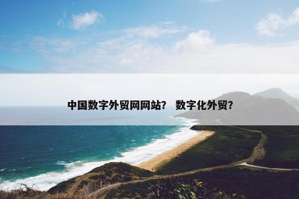 中国数字外贸网网站？ 数字化外贸？