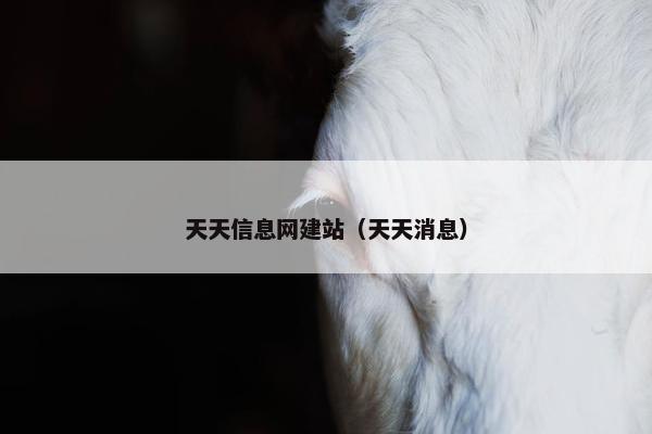 天天信息网建站（天天消息）