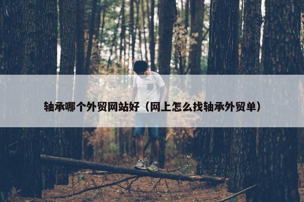 轴承哪个外贸网站好（网上怎么找轴承外贸单）