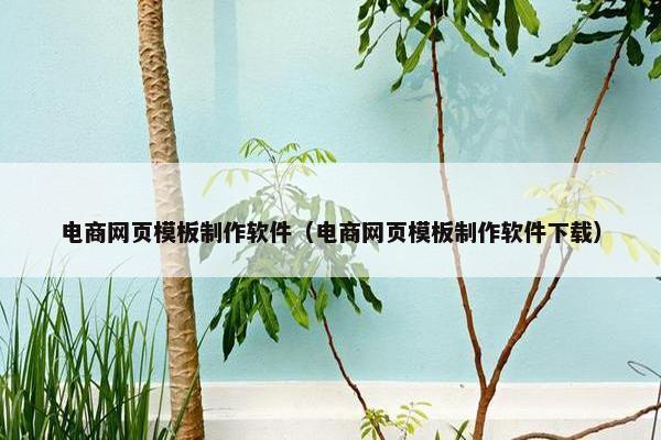 电商网页模板制作软件（电商网页模板制作软件下载）