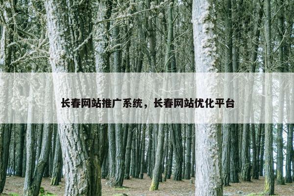 长春网站推广系统，长春网站优化平台