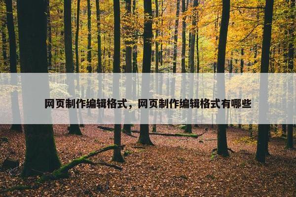 网页制作编辑格式，网页制作编辑格式有哪些