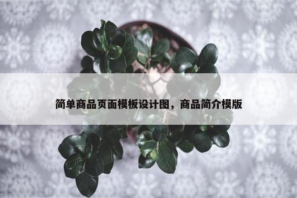 简单商品页面模板设计图，商品简介模版