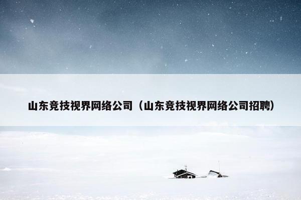 山东竞技视界网络公司（山东竞技视界网络公司招聘）
