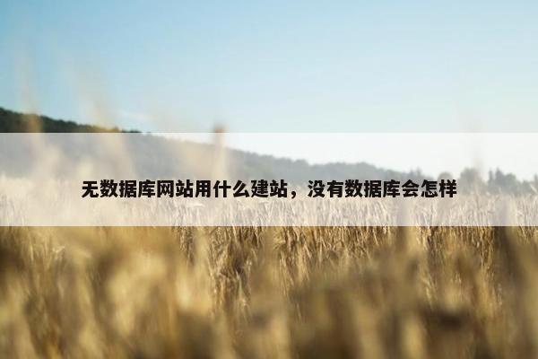 无数据库网站用什么建站，没有数据库会怎样