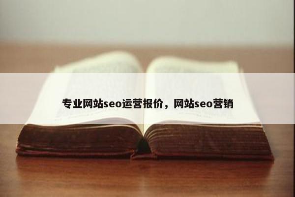 专业网站seo运营报价，网站seo营销