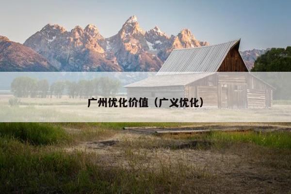广州优化价值（广义优化）