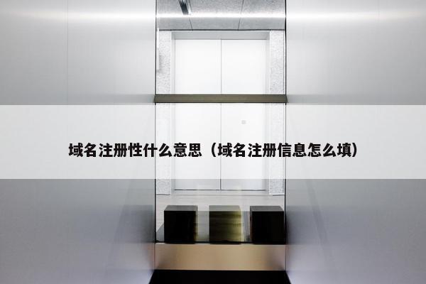 域名注册性什么意思（域名注册信息怎么填）
