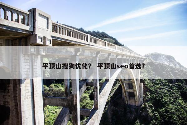 平顶山搜狗优化？ 平顶山seo首选？