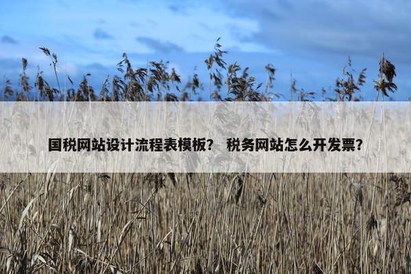 国税网站设计流程表模板？ 税务网站怎么开发票？