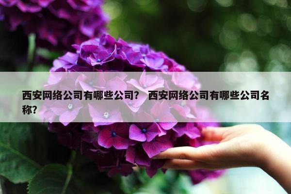 西安网络公司有哪些公司？ 西安网络公司有哪些公司名称？