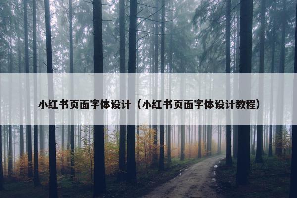 小红书页面字体设计（小红书页面字体设计教程）