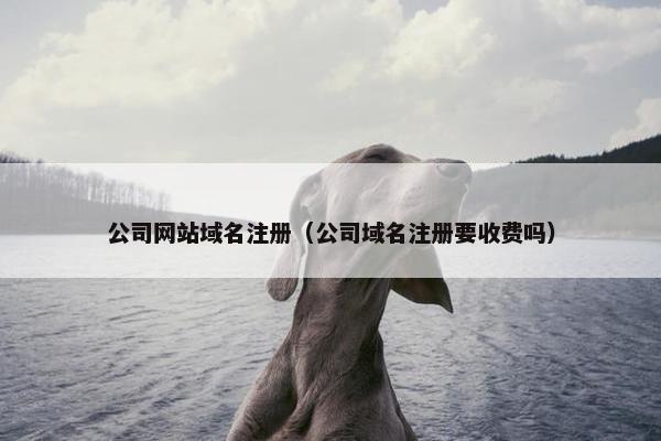公司网站域名注册（公司域名注册要收费吗）