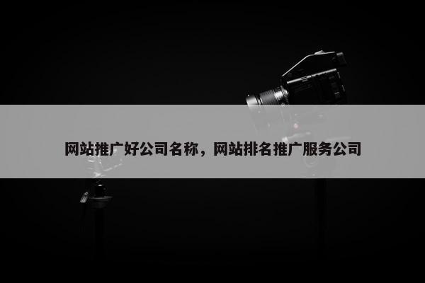 网站推广好公司名称，网站排名推广服务公司