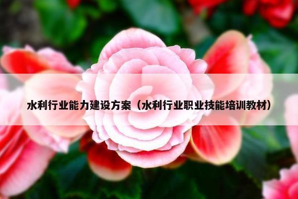 水利行业能力建设方案（水利行业职业技能培训教材）