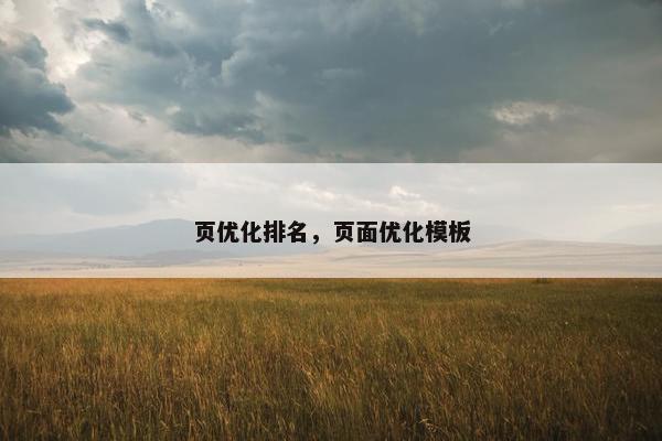 页优化排名，页面优化模板