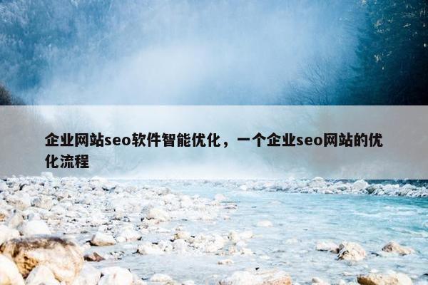 企业网站seo软件智能优化，一个企业seo网站的优化流程