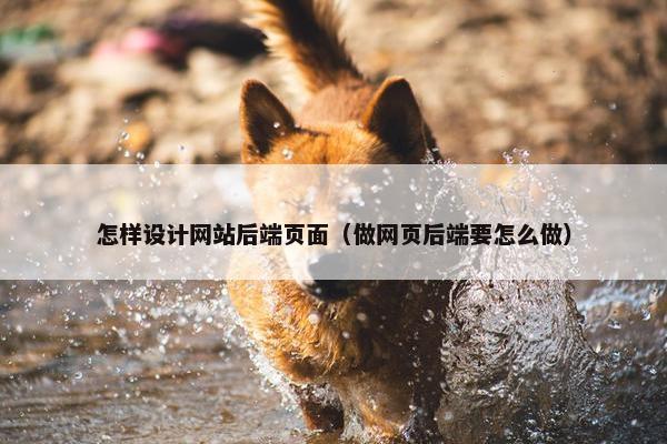 怎样设计网站后端页面（做网页后端要怎么做）