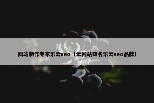 网站制作专家乐云seo（云网站知名乐云seo品牌）