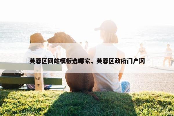 芙蓉区网站模板选哪家，芙蓉区政府门户网
