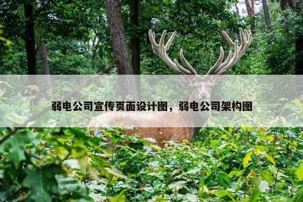 弱电公司宣传页面设计图，弱电公司架构图